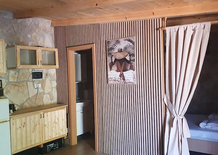 Robinson 2 * ティスノ